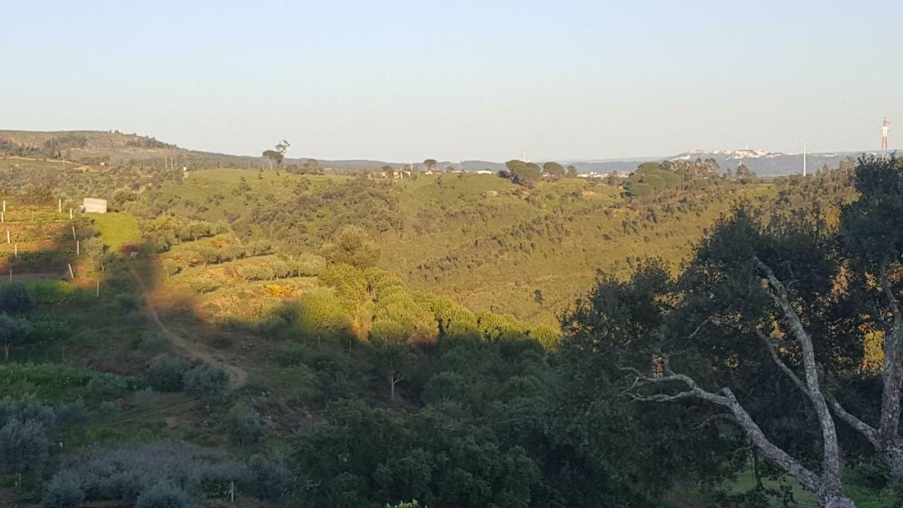 Quinta Do Caneiro - Casa Turismo Rural Constância Zewnętrze zdjęcie