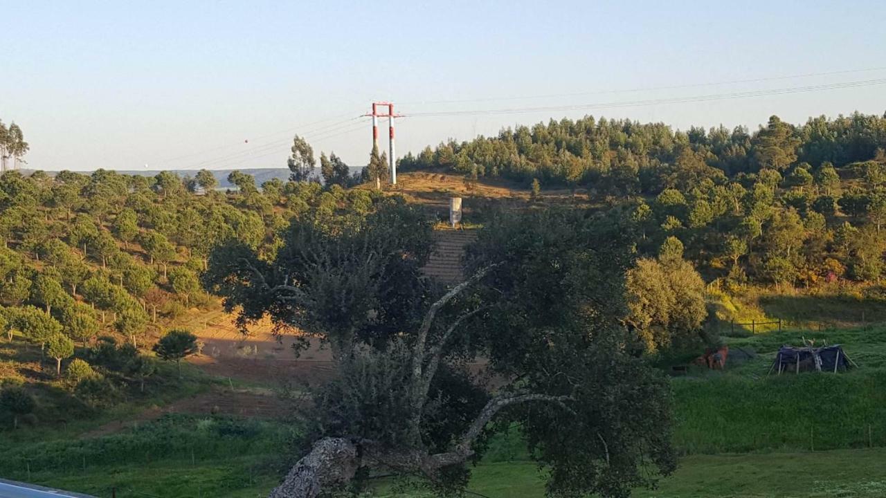 Quinta Do Caneiro - Casa Turismo Rural Constância Zewnętrze zdjęcie